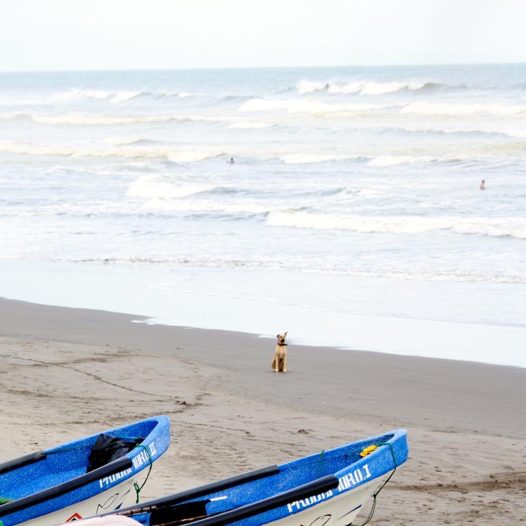 Azul Surf Club Hotel Ел Куко Екстериор снимка